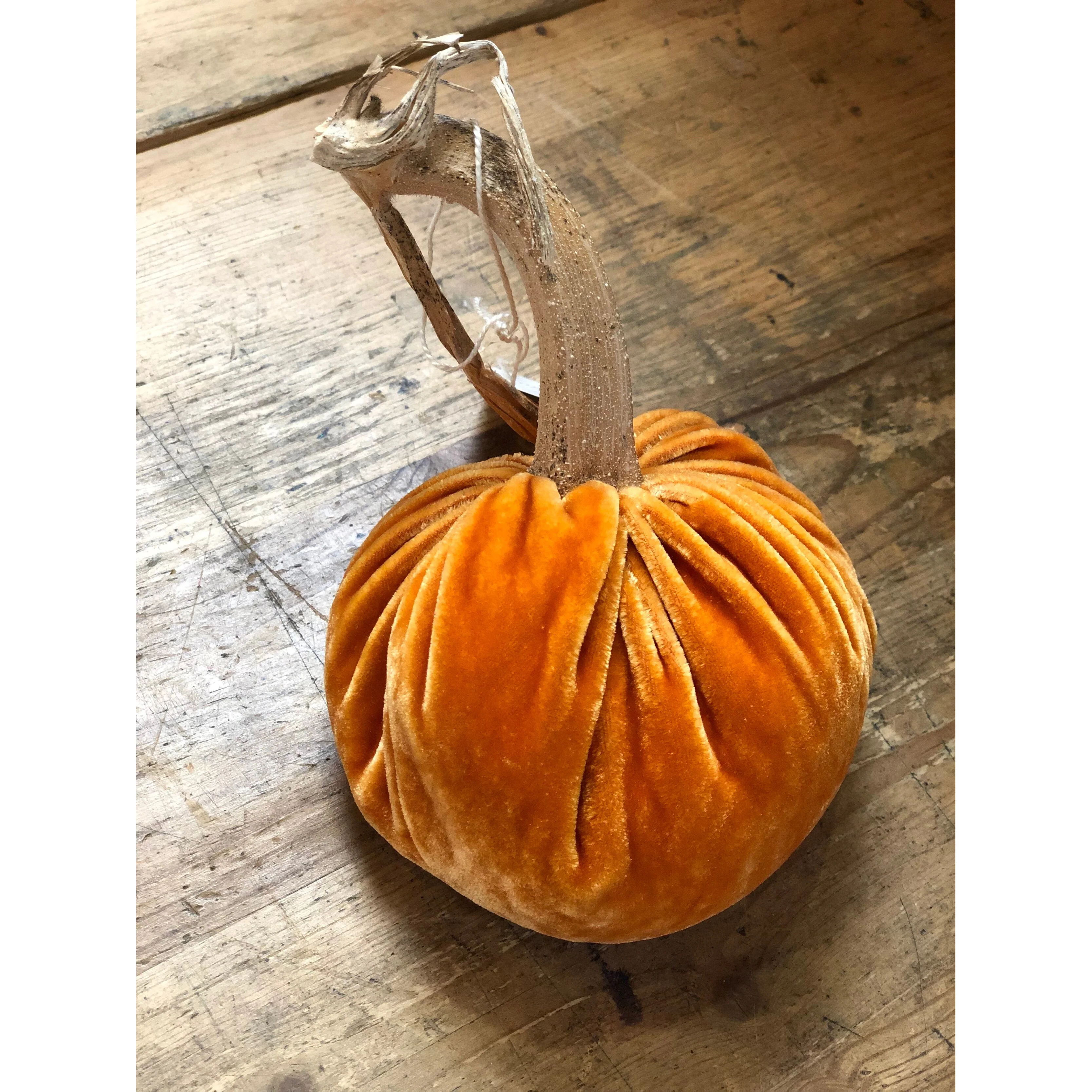 Velvet Pumpkins - Shades of Orange - Image 3